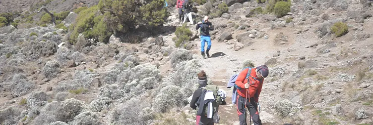 Shira 2 Camp to Lava Tower to Barranco Camp 